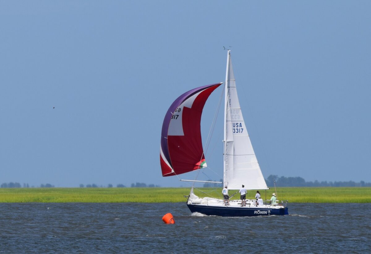 A sailboats sail inflates as it heads out on the Intracoastal Waterway near The Landings during a major sailing event.