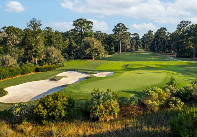 One of Georgia's Premier Golf Course Communities - The Landings