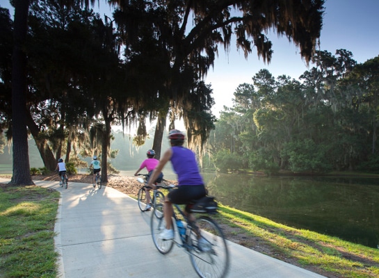 A family of bicyclists enjoys an active lifestyle by riding on a charming waterfront park pathway.