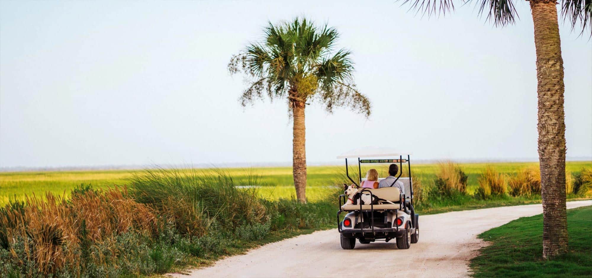 Couple driving a golf cart with a black and white dog on the back on one of the paths lined with palm trees and ornamental grasses.