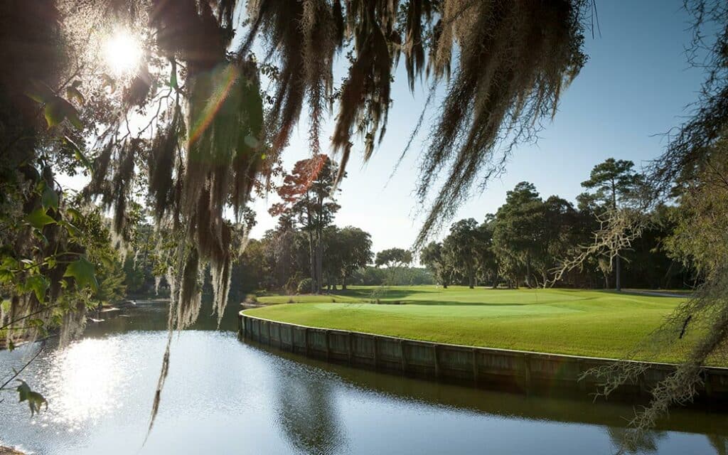 Spanish moss hangs from a tree in the foreground overlooking one of the lagoons on the Oakridge golf course.